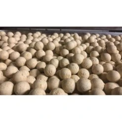 CBB White Cananga Boilies 2kg 8 CBB White Cananga Boilies 2kg -Angeln Discounter CBB20Baits20White20Cananga20Team20Outdoors3 550x550w