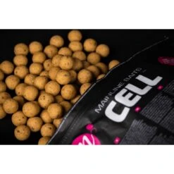 Mainline Shelf Life Boilies Cell 1kg -Angeln Discounter Cell20Boilies2 550x550w