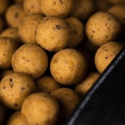 Mainline Shelf Life Boilies Cell 1kg -Angeln Discounter Cell20Boilies3 550x550 1