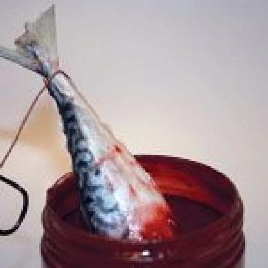 DYNAMITE BAITS Dynamite Bloodied Eel Bait Dip 270ml 2 DYNAMITE BAITS Dynamite Bloodied Eel Bait Dip 270ml – Bild 2