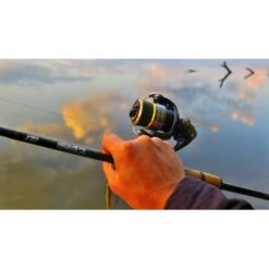 Shimano Sedona 2500S FI -Angeln Discounter Sedona123 550x550w 1