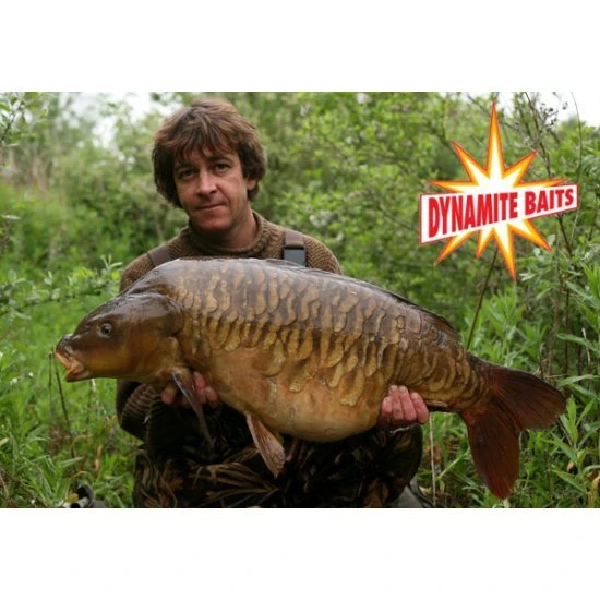 DYNAMITE BAITS Dynamite CarpTec Boilies Strawberry 20mm 1,8kg 4 DYNAMITE BAITS Dynamite CarpTec Boilies Strawberry 20mm 1,8kg – Bild 4
