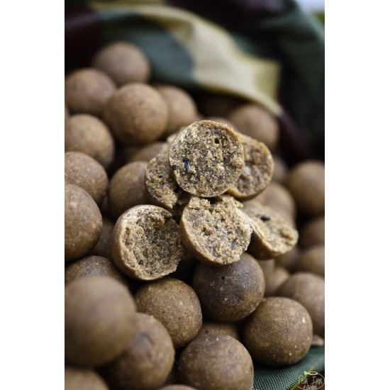 CC Moore Odyssey XXX Shelf Life Boilies 24mm 2 CC Moore Odyssey XXX Shelf Life Boilies 24mm – Bild 2